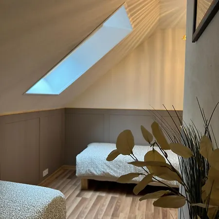 Ratasvaelja Iti Apartman *